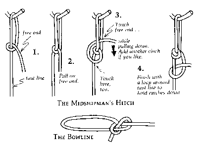 Bowline and Midshipman's hitch -- Knots.GIF (4663 bytes)