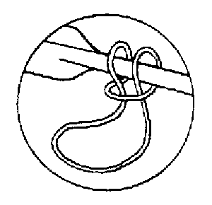 Rope loop for a step -- Rfloop.gif (2685 bytes)